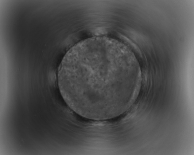 X0000094170523200711161710