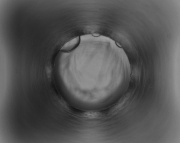 X0000094170526200711161710