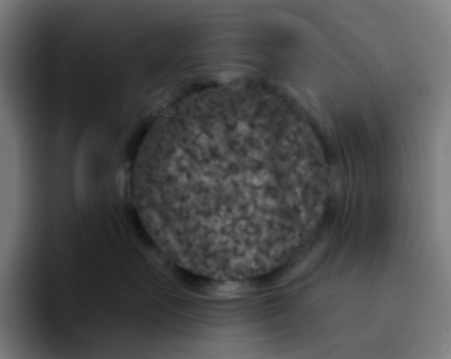 X0000094170527200711161710