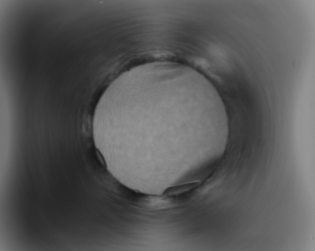 X0000094170528200711161710