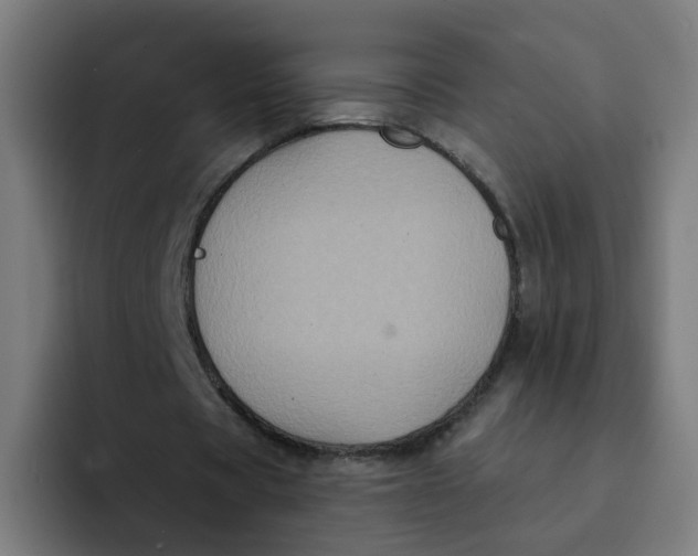 X0000094170529200711161710