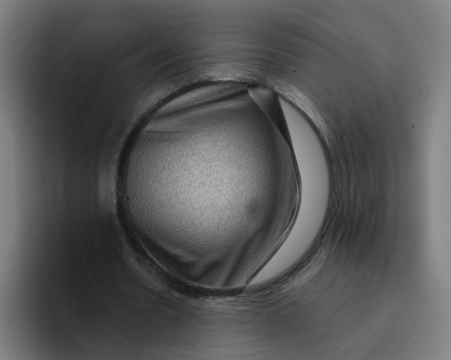 X0000094170530200711161710