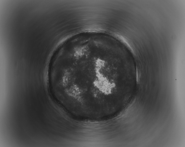 X0000094170531200711161710