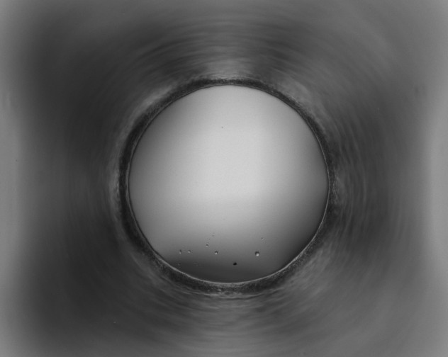 X0000094170535200711161710