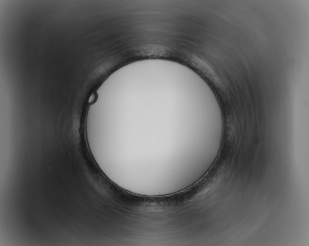 X0000094170538200711161710