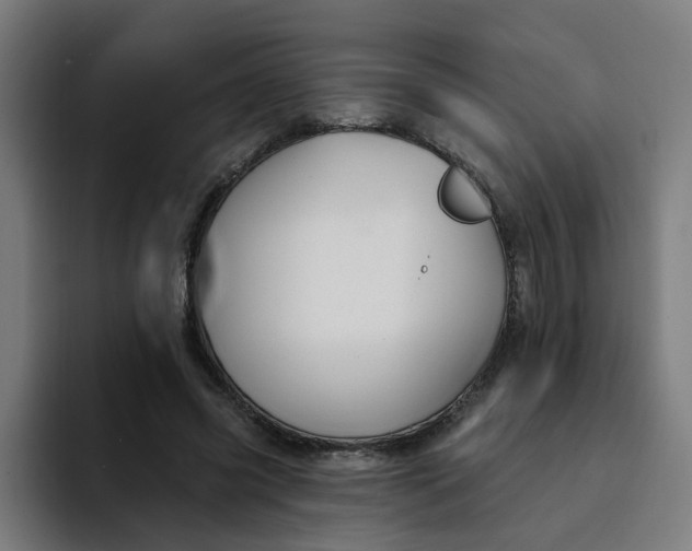 X0000094170541200711161710