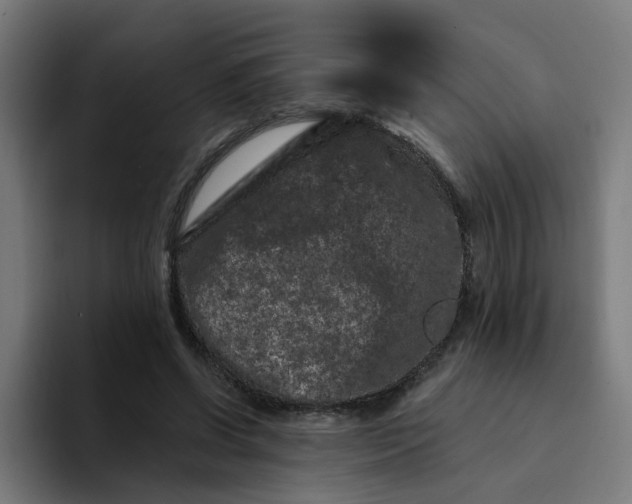 X0000094170542200711161710