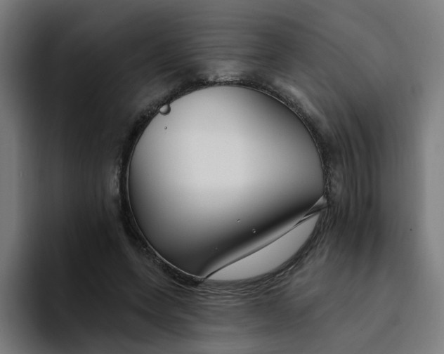 X0000094170543200711161710