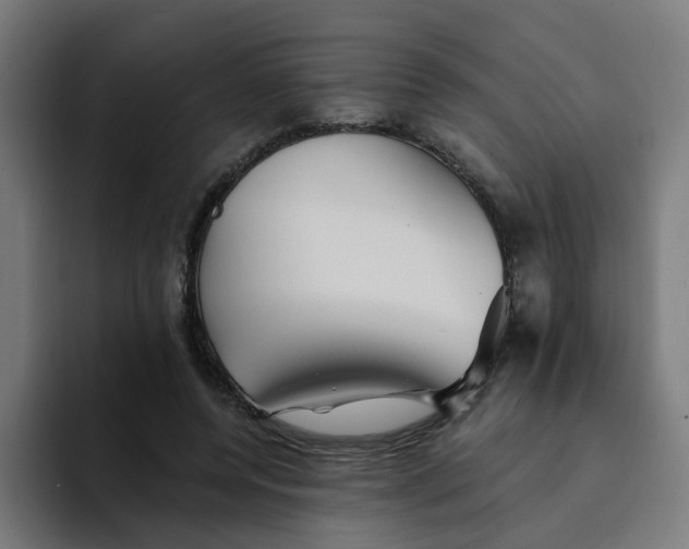 X0000094170544200711161710