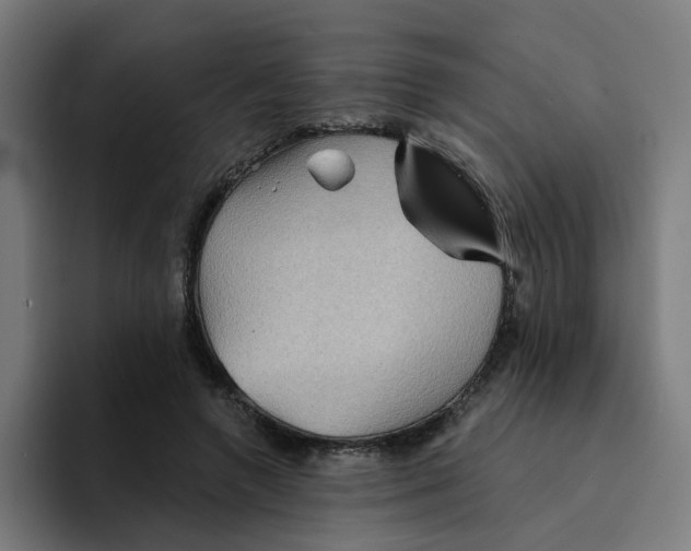 X0000094170546200711161710