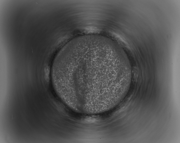 X0000094170550200711161710