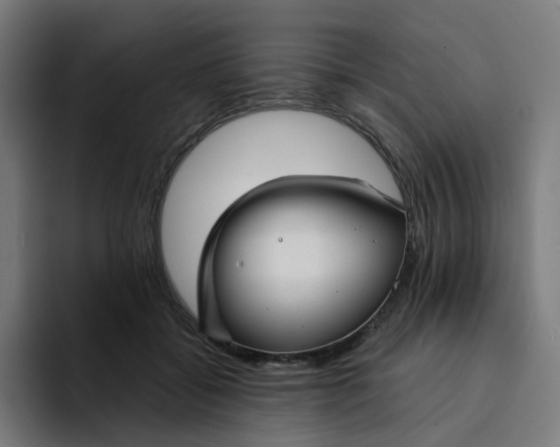 X0000094170556200711161710