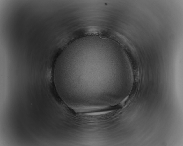 X0000094170560200711161710