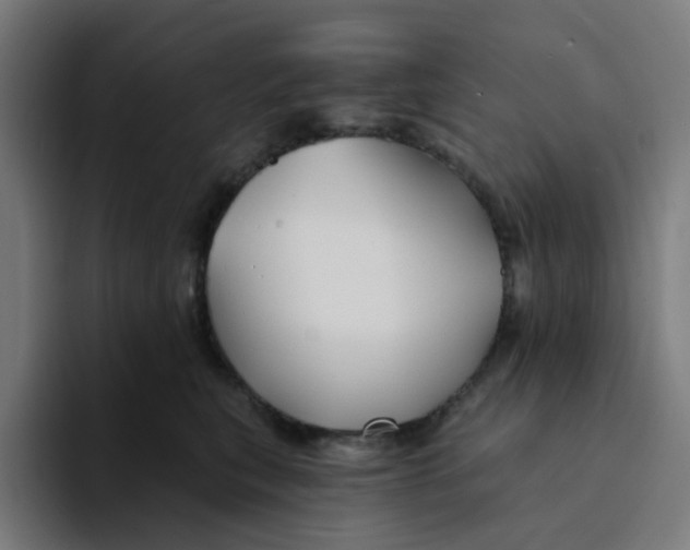 X0000094170567200711161710