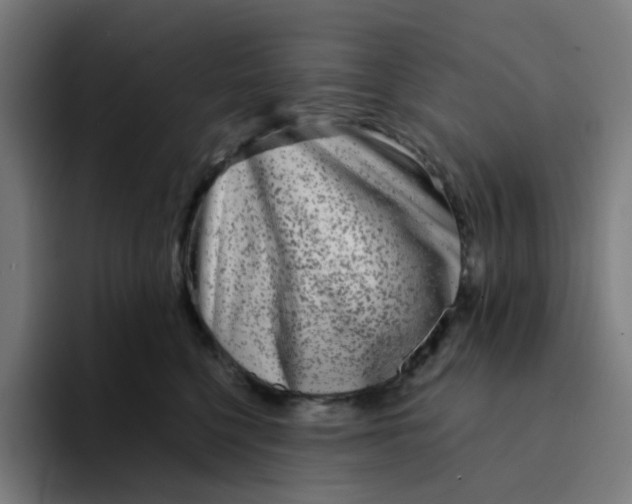 X0000094170568200711161710