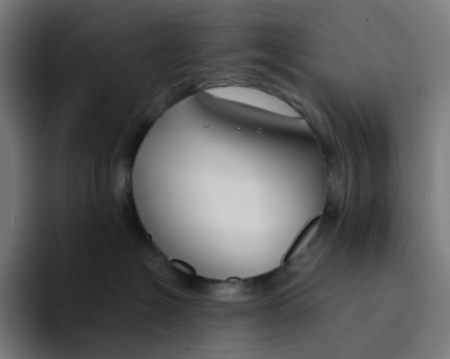 X0000094170574200711161710