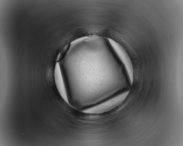 X0000094170575200711161710