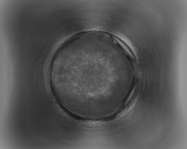 X0000094170577200711161710