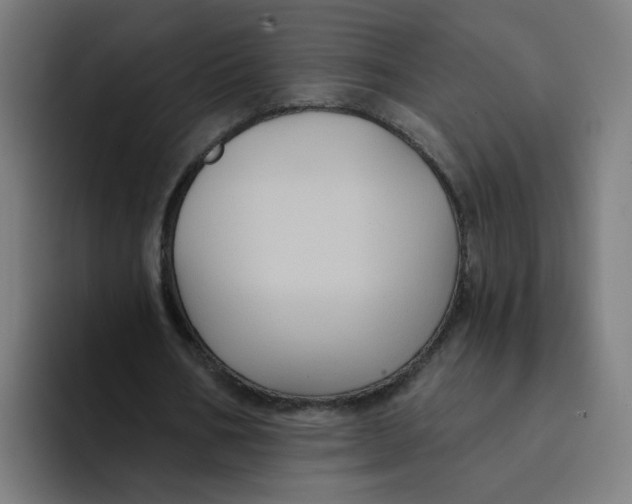 X0000094170578200711161710