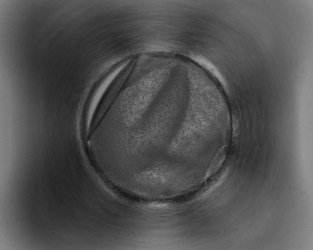 X0000094170581200711161709