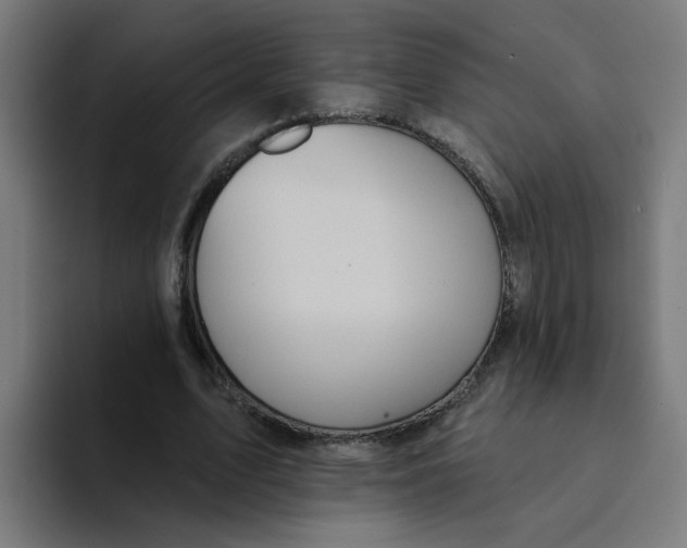 X0000094170583200711161709