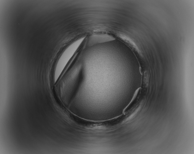 X0000094170589200711161709