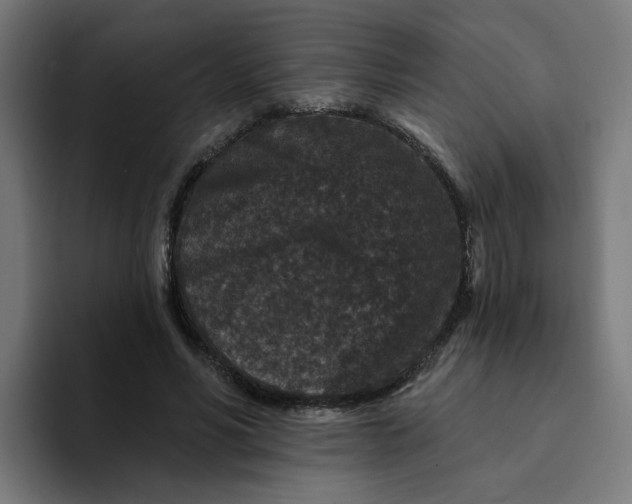 X0000094170590200711161709