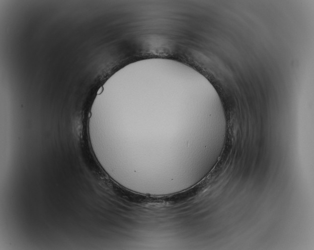 X0000094170595200711161709