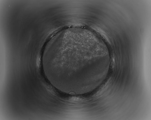 X0000094170596200711161709