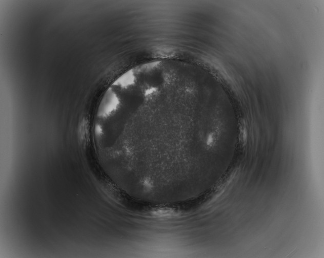 X0000094170598200711161709