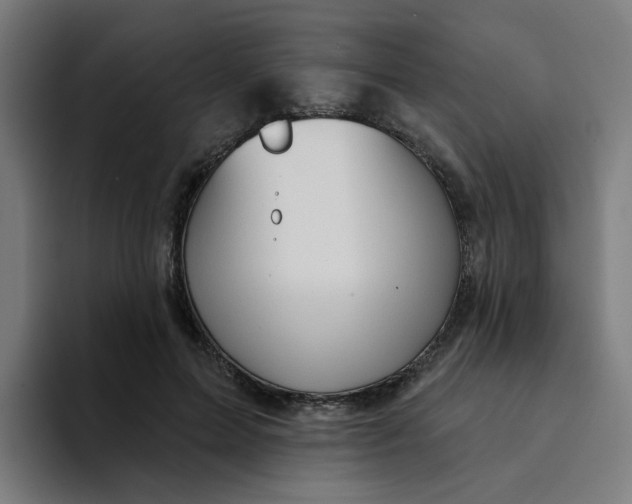 X0000094170599200711161709