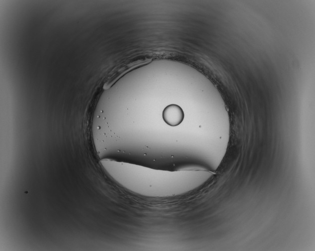 X0000094170601200711161709