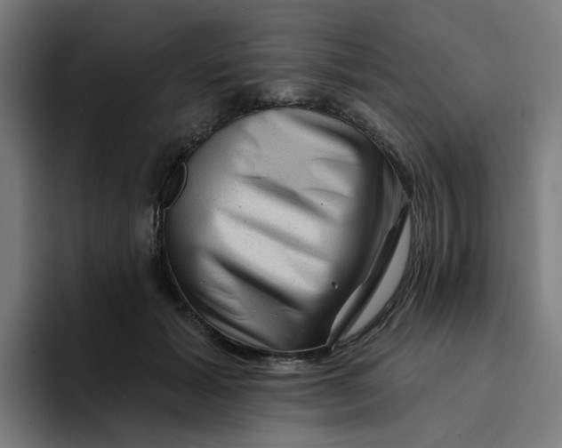 X0000094170605200711161709