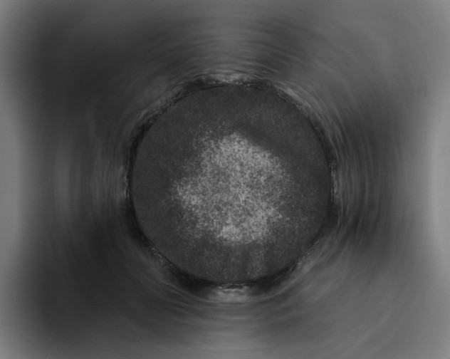 X0000094170606200711161709