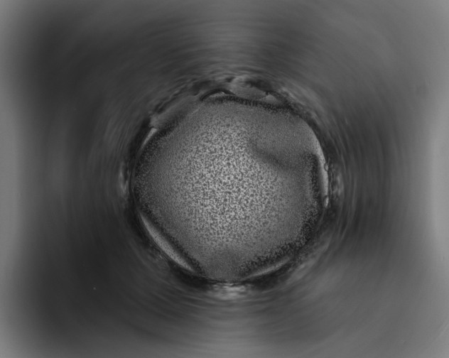 X0000094170607200711161709