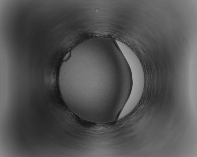 X0000094170608200711161709