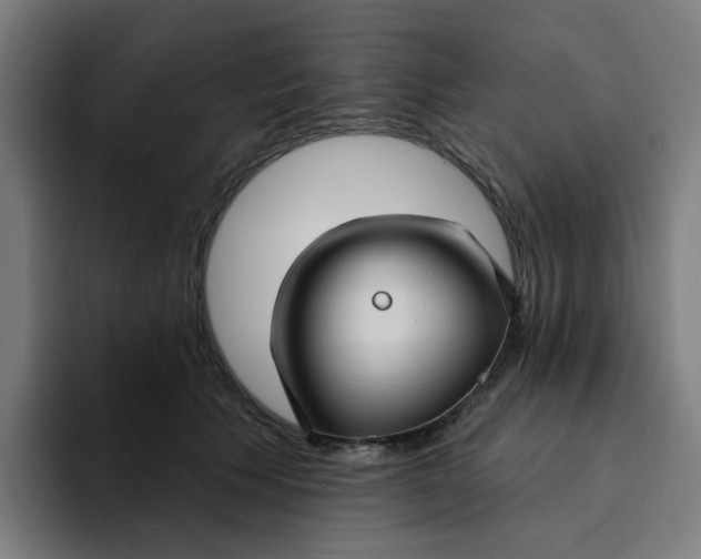 X0000094170609200711161709