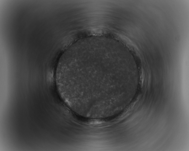 X0000094170610200711161709