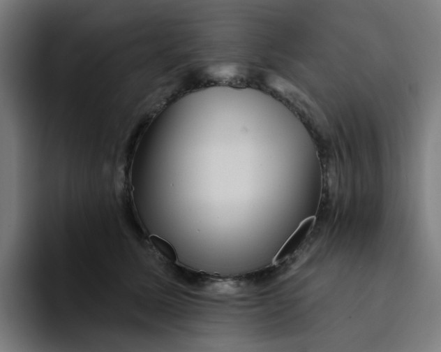 X0000094170611200711161709