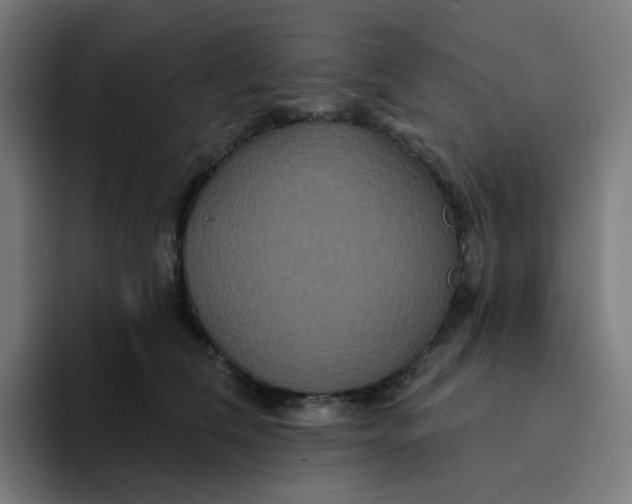 X0000094170612200711161709