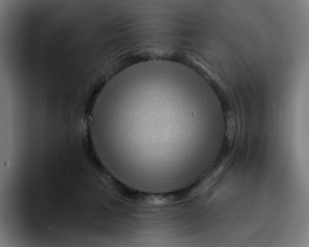 X0000094170613200711161709