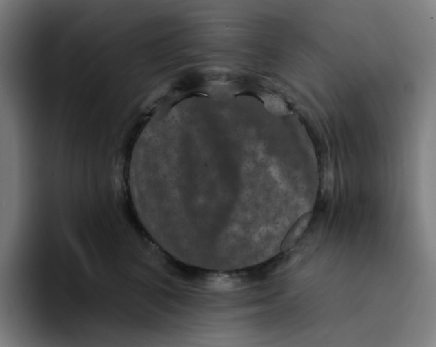 X0000094170616200711161709