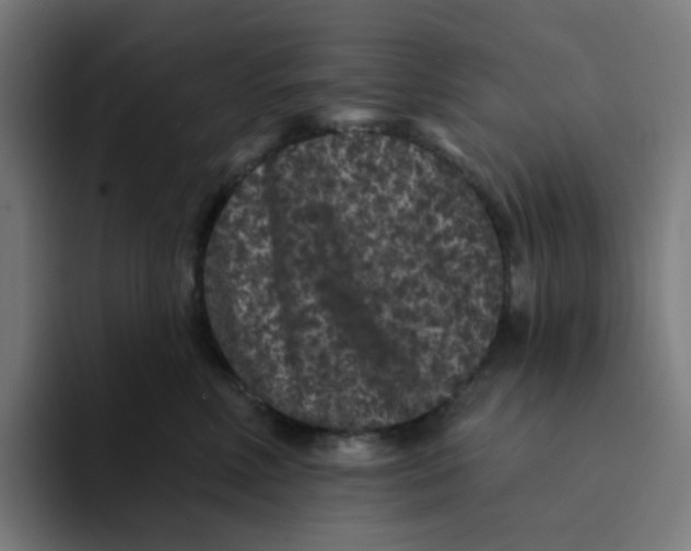 X0000094170618200711161709