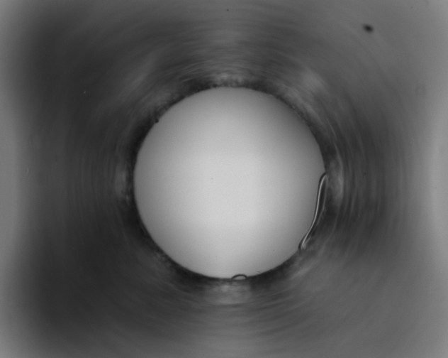 X0000094170619200711161709