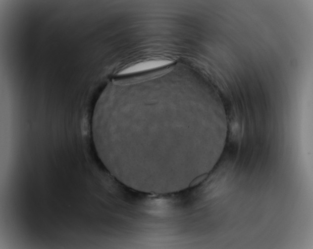 X0000094170620200711161709