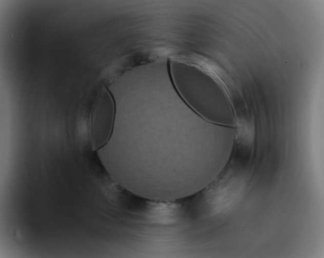 X0000094170621200711161709