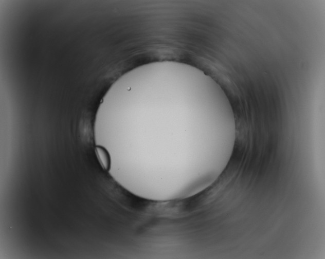 X0000094170622200711161709