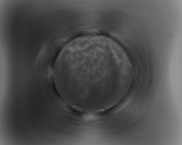 X0000094170624200711161709