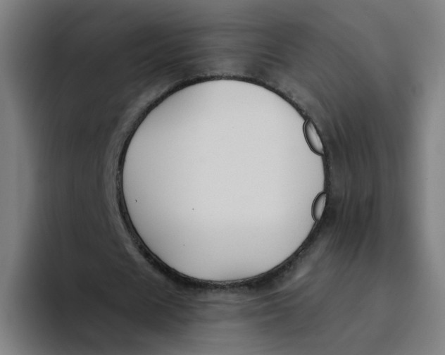 X0000094170625200711161708