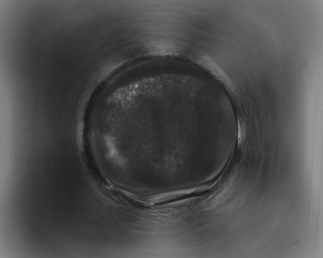 X0000094170627200711161708